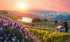 Optimal Times for Year-Round Visits to France