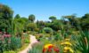 Botanical Gardens of San Miguel de Allende: A Hidden Gem
