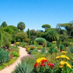 Botanical Gardens of San Miguel de Allende: A Hidden Gem