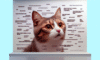 Cat Meme Tips for Gaining Feline Internet Fame