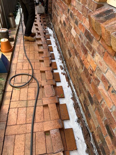 Termite Protection Systems for Reliable Defence in Sydney