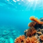 Snorkelling the Belize Barrier Reef: Top Spots and Marine Life