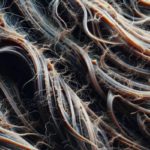 Reversing Heat Damage: Top Strategies for Repair and Prevention