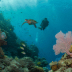 Belize Barrier Reef: Your 2025 Diving and Snorkelling Destination