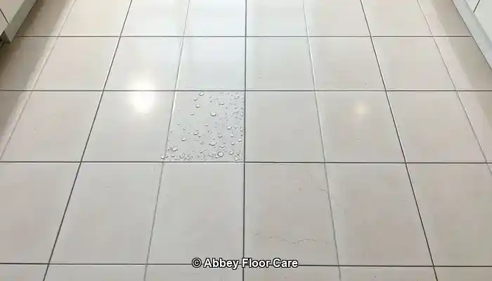 Grout Sealing Methods for Durable and Long-Lasting Protection