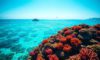 Belize Travel Guide: Complete Location Insights and Tips