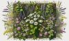 Herbal Remedies: Essential Guide for Beginners in the UK